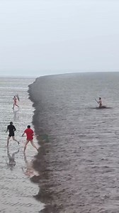 152K views · 1.1K reactions | Chưa kịp ra khơi tìm kho báu đã gặp trở ngại 藍 Cre: Green Farm 49 | GameTV | Facebook