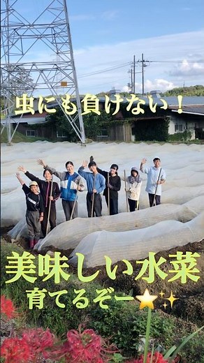 水菜の植え付け！籾殻と米ぬかを使って、羽虫対策もOK🙆‍♀️綺麗で美味しい水菜育てるぞ🔥 #なのはなファミリー #摂食障害からの回復施設 #水菜 #秋冬野菜