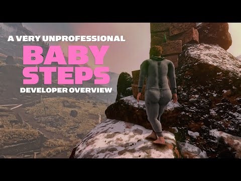 A Very Unprofessional Baby Steps Developer Overview