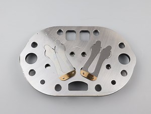 [Hot Item] Bitzer Compressor Parts 4t 60mm Valve Plate