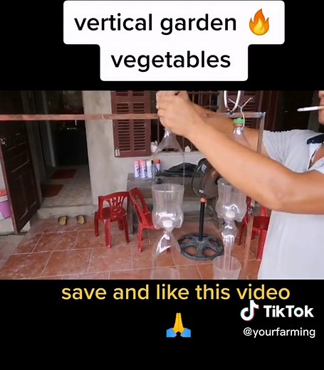 How to grow vegetables at home vertical garden #recycling #howto #gardening #planttiktok #gardening #vegetables #fyp #howto #messi #ronaldo