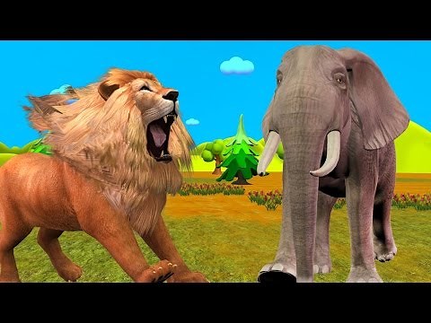 Lion & Elephant Cartoon for Children Finger Family Nursery Rhymes | Animals Finger Family Rhymes