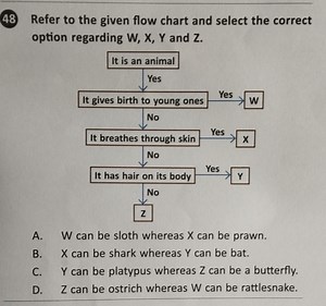 48 Refer to the given flow chart and select the correct option ... | Filo