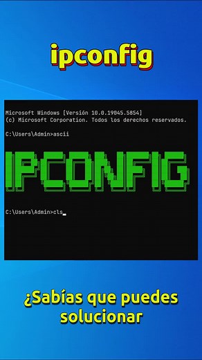 Resolviendo conflictos de IP en Windows 10 y 11