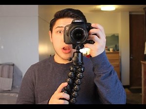 Nutrition Final Study Cards Flashcards