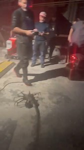 63K views · 423 reactions | Director #FedeÁlvarez showing off his favourite toy on the set of "Alien: Romulus". The terrifying RC #Facehugger was created by the skilled team from #WetaWorkshop! "Alien: Romulus" will be stalking cinemas Aug 2024. For more movie info, visit https://tinyurl.com/COMY-AlienRomulus #CinemaOnlineMY #AlienRomulus #AlienMovie | Cinema Online | Facebook