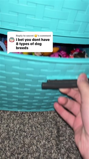 Replying to @secret 🤫 you lost im sorry!!! #doglps #lps #littlestpetshop #fyp #toys