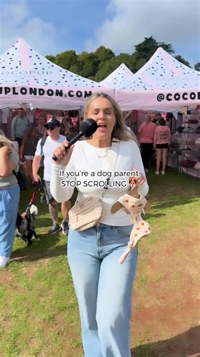 18K views |  Pup-kin season is here!  Pick of the patch goes to our Embroidered Pumpkin Patch Collection – the ulti-mutt way to squash any boring walk. Gourd vibes only this autumn! 李✨  Matching Dog & Human Accessories� 﫧 Easy-Clean, Machine Washable� ☁️ Comfy, Padded & Fully Adjustable  Designed in the UK�  Fully landed shipping costs & no tariffs! | Cocopupuk | Facebook