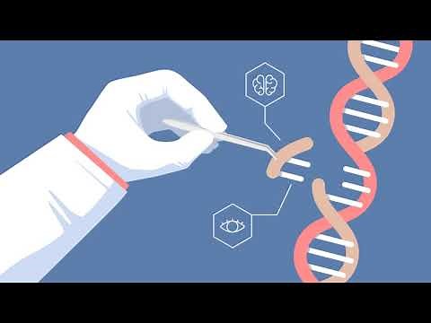 Genome Editing - Creative Biolabs