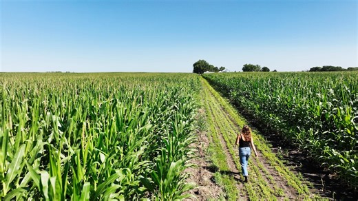 Minnesota's Alt-Meat Revolution | Watch online at WTTW.com