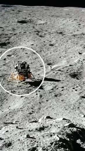 Moon Walk: The Silence and Glory of Another World 🌑✨