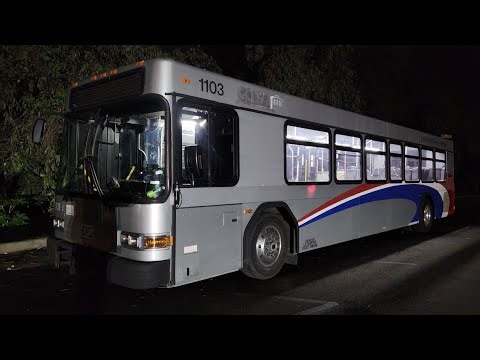 LA Charter Bus Lines 2011 Gillig Low Floor 40' #1103