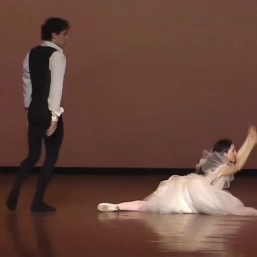 Captivating Ballet Performance by Duo Dancers
