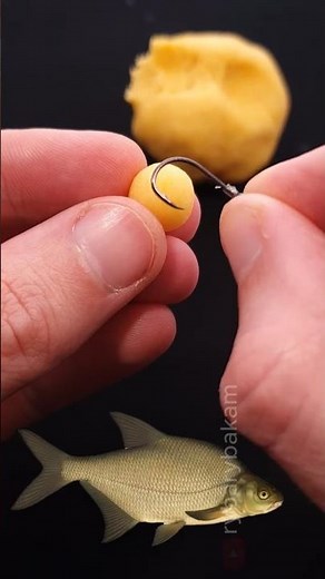 Best Homemade Carp Bait You Can Make at Home