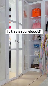25K views · 1.2K reactions | Real closet or doll closet? At this point… even I’m confused. #closettour #dreamcloset #dollcollecting #barbie | plastic_chic | Facebook