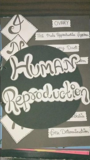 Biology project file class12th Human reproduction😌♥️🌕#project #biology #class #school #students