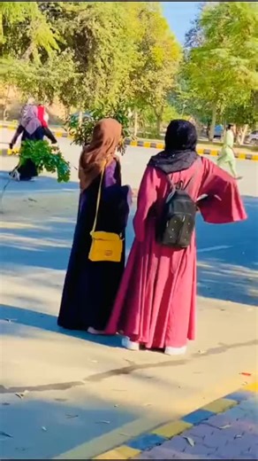 Navigating College Life: Tips for New Students