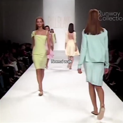 Exploring Different Horse Walk Styles