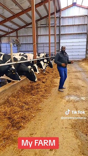 Jeremy Damaris Biography and Kikuyu Comedy TikToks