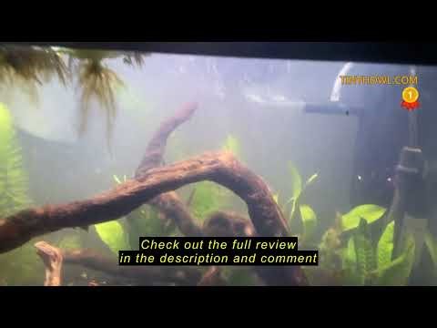 Review NICREW Aquarium Internal Filter, Submersible Power Filter with Multiple Function for Fish Tan