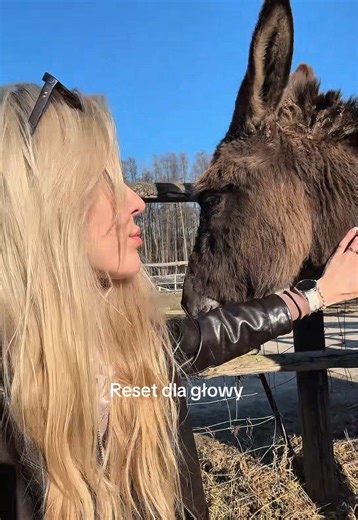 To jest zupełnie inna energia, która daje ukojenie #peace #reset #spokój #countrylife #natura