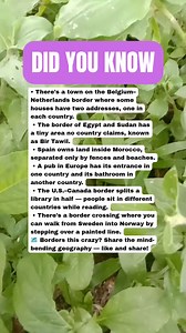 210K views · 1.9K reactions | Insanely Strange Borders Between Countries ️勞 #facts | Daily Brain T | Facebook