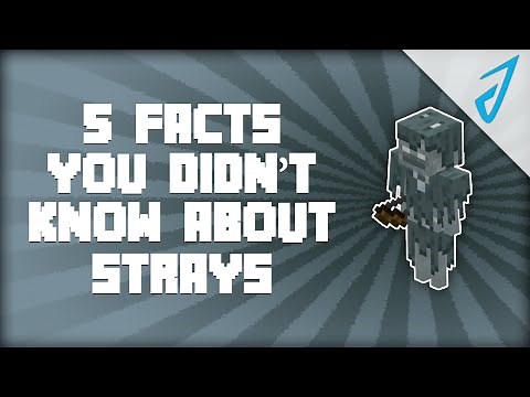 Minecraft: 5 Facts You Didn't Know About Strays! | iJevin
