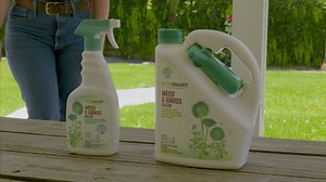 Weed & Grass Killer – 64 oz – Ready to use