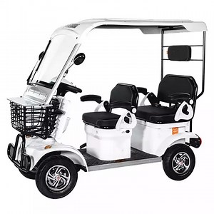 [Hot Item] Battery Operated Golf Carts Mini Electric Golf Cart 25km/H Max Speed Sightseeing Car for Personal Use