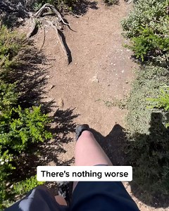 1.1K views · 53 reactions | Sick of losing your sanity to mozzies &...