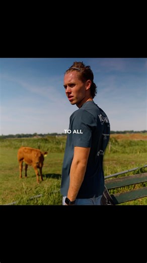 According to all aerodynamic laws a bumblebee 🐝