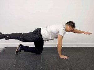 Bird Dog — Rehab Hero