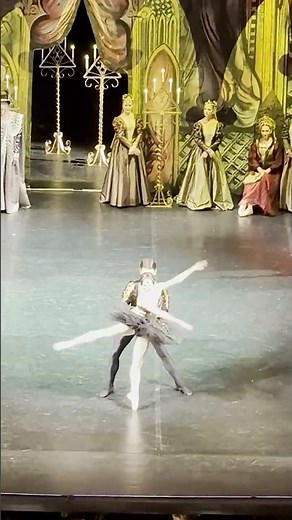 Swan Lake #ballet #tchaikovsky #swanlake #балет #лебединоеозеро #черныйлебедь #blackswan #опера