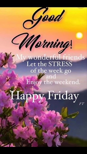 TikTok - Make Your Day