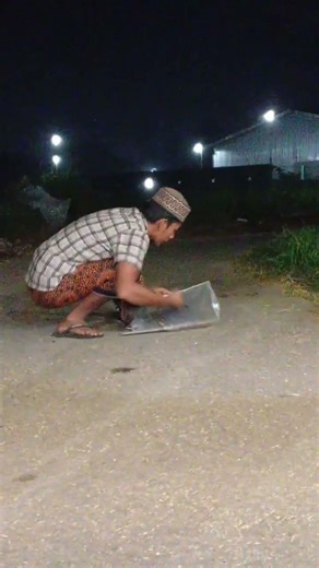 Unexpected bird catching on power lines can all