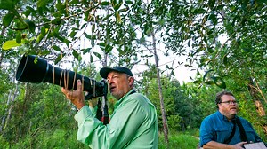 Visiting Florida state park soon? Here are the 10 most popular parks, and how to get in free