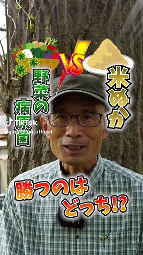 米ぬかを使った病気対策！#家庭菜園 #夏野菜栽培 #うどんこ病対策 #農園 #栽培 #農業 #農家