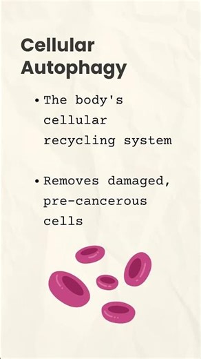 Fasting influences cellular and metabolic processes.Health benefits extend beyond weight. #shorts