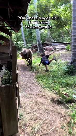 POV: Abang Tengoh dihu le lemo dek