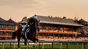 Summer Horse Racing Highlights: Saratoga & Del Mar