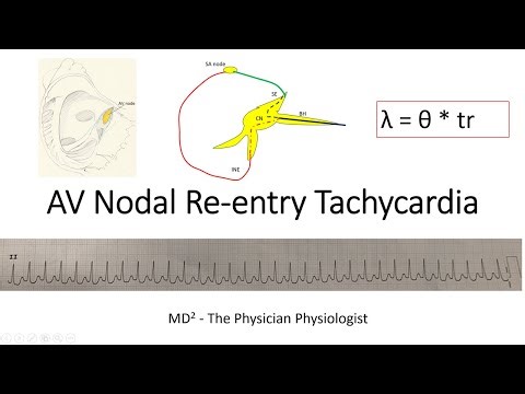 AVNRT Electrophysiological basis #internalmedicine #electrophysiology