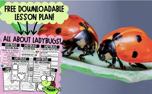 All About Ladybugs: Free Elementary Science & Literacy Unit Plan for Kids