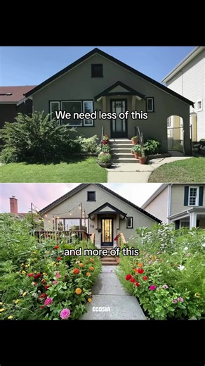 Ecosia Spreading Nature & Biodiversity Message