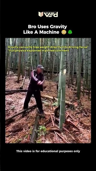 Bro Uses Gravity Like A Machine?! 🤯🌳 #shorts