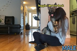 Hugging My Dogs For Too Long (Male vs Female) | Jade the Sable GSD