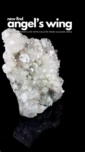 Incredible new Diamond Apophyllite with Calcite from Jalgaon, India. This pocket is available on our Sunday show at 4pm est. ✨ #diamondapophyllite #apophyllite | Crystal Live Emporium
