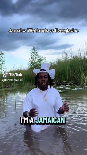 After visiting the Black River wetland in my home island a few weeks ago, I noticed a few differences between it and the Everglades. My goal is to bring more awareness to wetlands in Jamaica as well as the Everglades itself because both ecosystems are incredibly important. #biologist #researchscientist #wetlands #ecosystem #stem