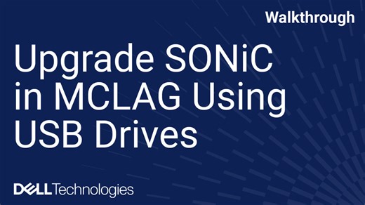 Upgrade SONiC in MCLAG Using USB Drives