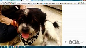 Ep. 1140: Where 99 problems is still a lot of problems