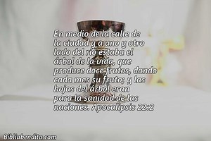 Explicación Apocalipsis 22:2. 'En medio de la calle de la ciudad y a uno y otro lado del río estaba el árbol de la vida, que produce doce frutos, dando cada mes su fruto; y las hojas del árbol eran para la sanidad de las naciones.' - BibliaBendita